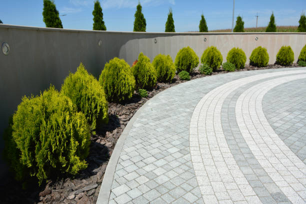 Reliable Venice, IL Driveway Pavers Solutions